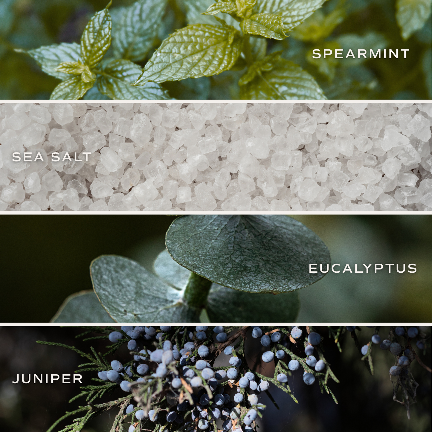 BATH BOMB | RESTORE + RENEW 4.6oz