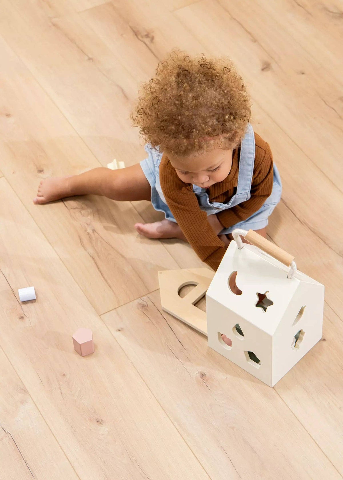 THE WOODEN SHAPES SORTING HOUSE